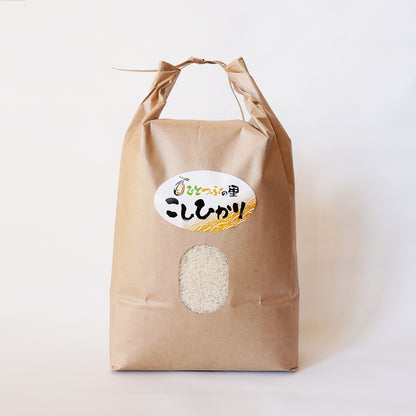 【オープンセール 15%OFF】　　　　こしひかり　5キロ