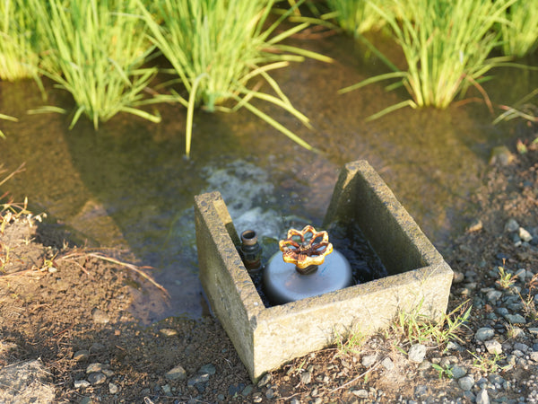 きれいな水