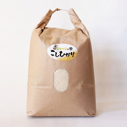 【オープンセール 15%OFF】　　　　こしひかり　10キロ
